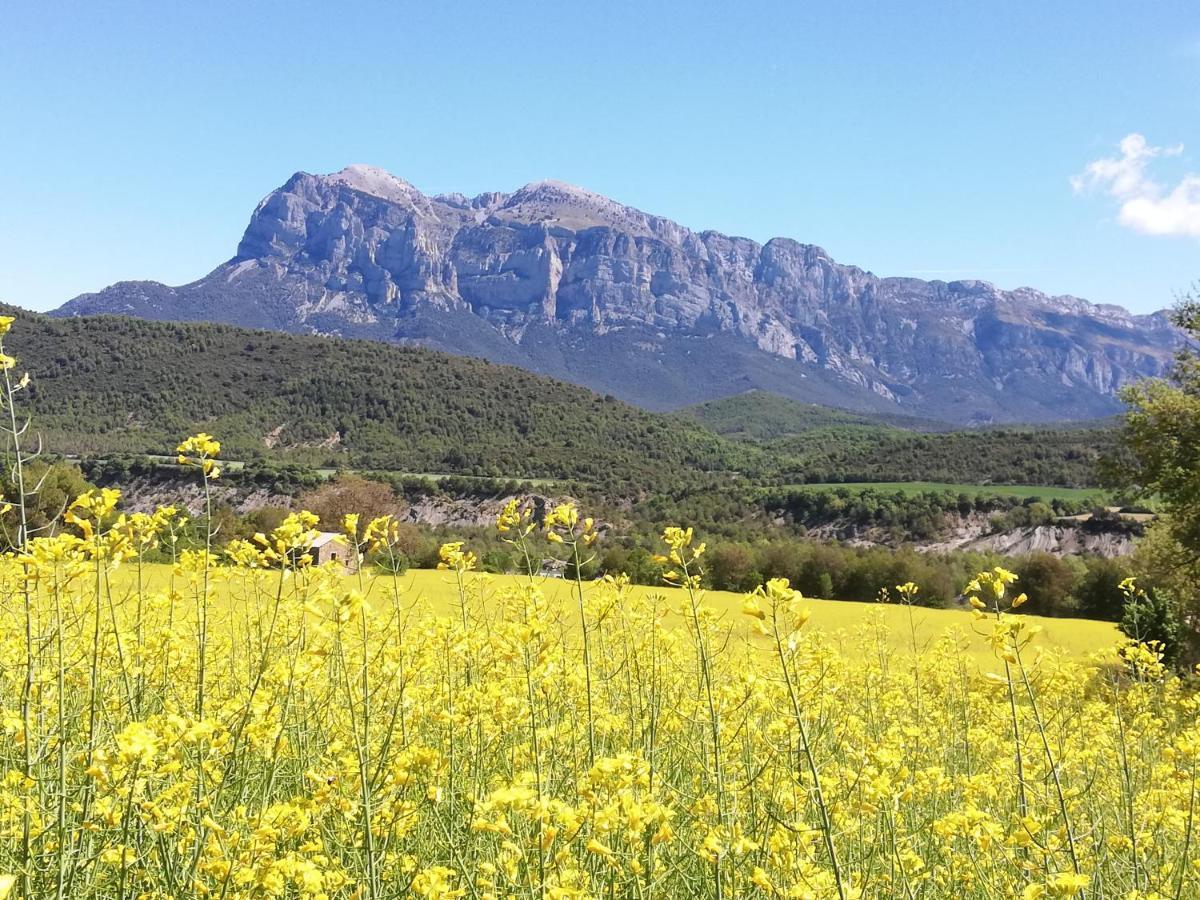 Apartamento El Fenal De Turmo Casa Rural "El Capricho De Nieves" Laspuña Exteriör bild